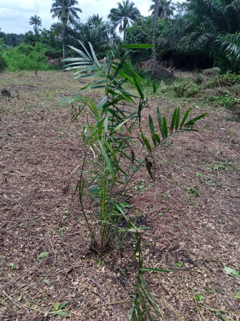 WhatsApp Image 2024-07-26 at 1.22.04 AM