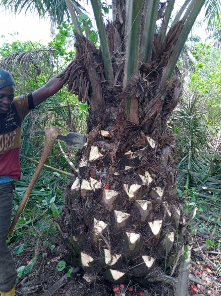 WhatsApp Image 2024-07-26 at 1.22.05 AM (1)